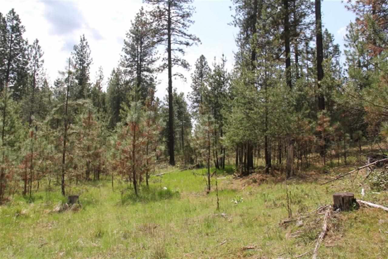 0 North Crescent Road Colbert, WA 99005 - Photo 13 of 19