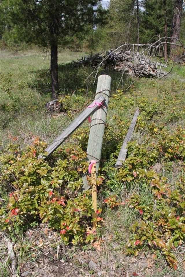 0 North Crescent Road Colbert, WA 99005 - Photo 14 of 19