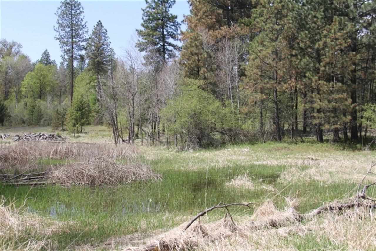 0 North Crescent Road Colbert, WA 99005 - Photo 15 of 19
