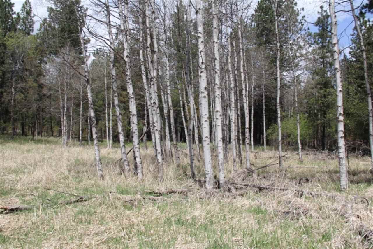 0 North Crescent Road Colbert, WA 99005 - Photo 16 of 19