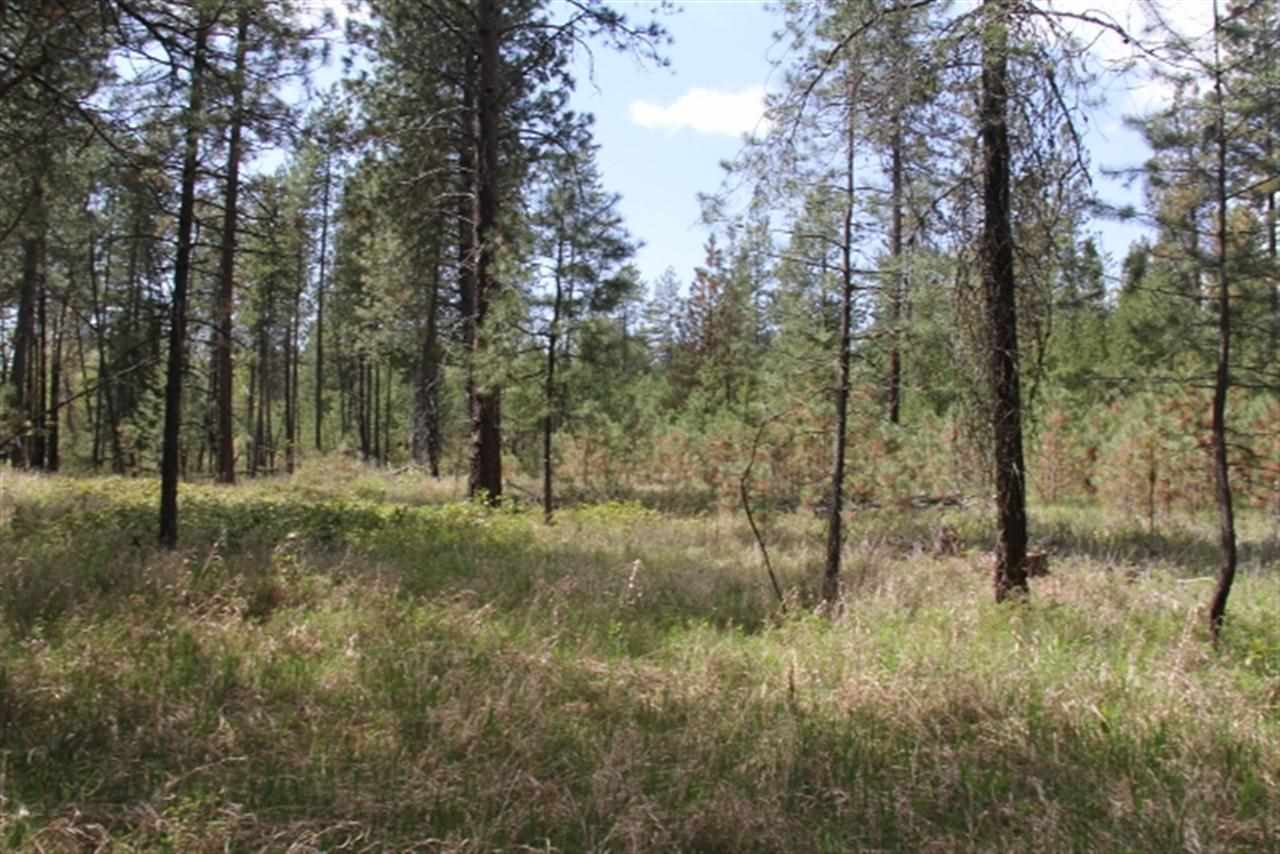 0 North Crescent Road Colbert, WA 99005 - Photo 17 of 19