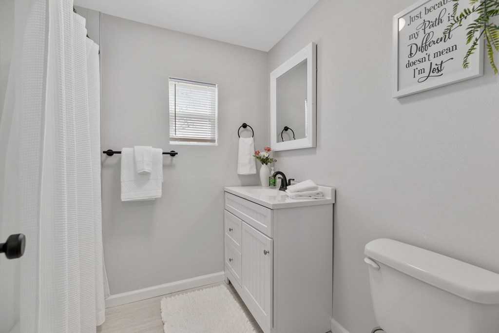 271 North Third Street Harper, TX 78631 - Photo 14 of 19 a bathroom with a toilet sink and mirror