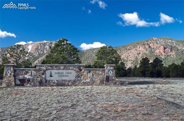 4315 Red Forest Road Monument, CO 80132 - Photo 26 of 32