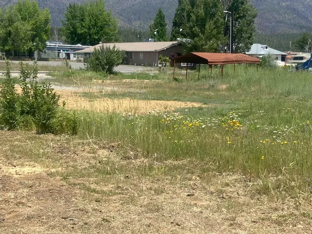 a view of swimming pool with lawn chairs and plants