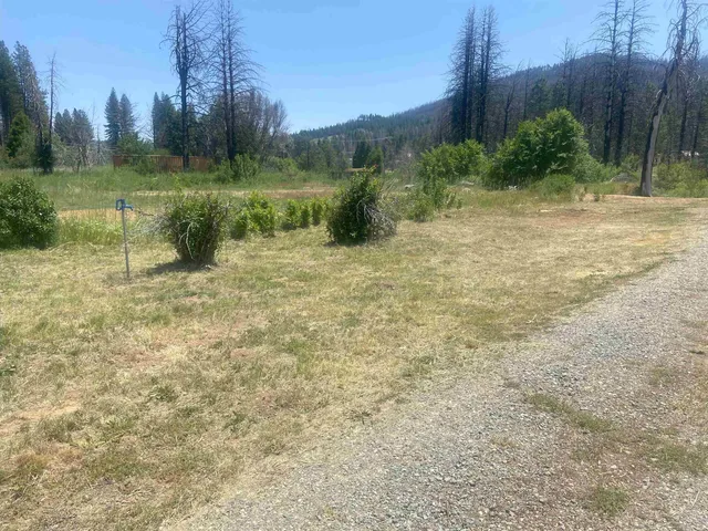 a view of a garden with trees