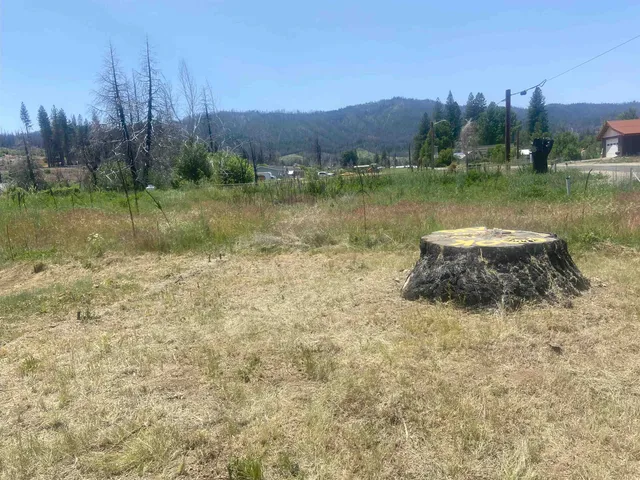 a backyard of a house with lots of green space