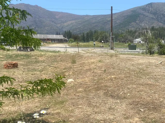 a view of a park with a tree