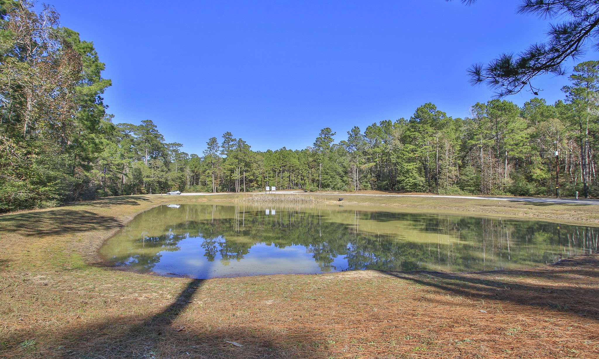 12-22-58 Grey Feather Road Huntsville, TX 77340 - Photo 14 of 21 a view of a lake view