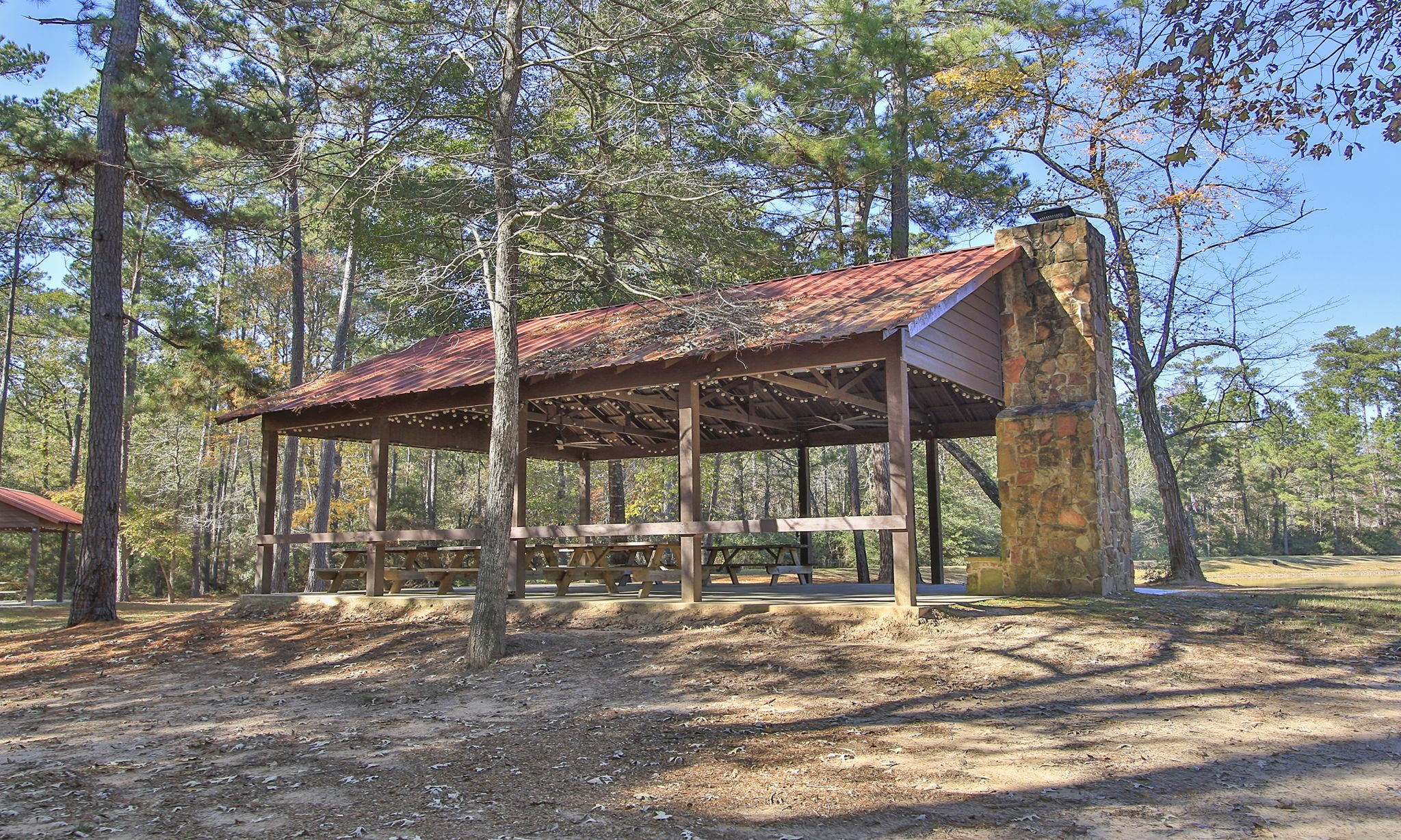 12-22-58 Grey Feather Road Huntsville, TX 77340 - Photo 18 of 21 a view of outdoor space yard and patio