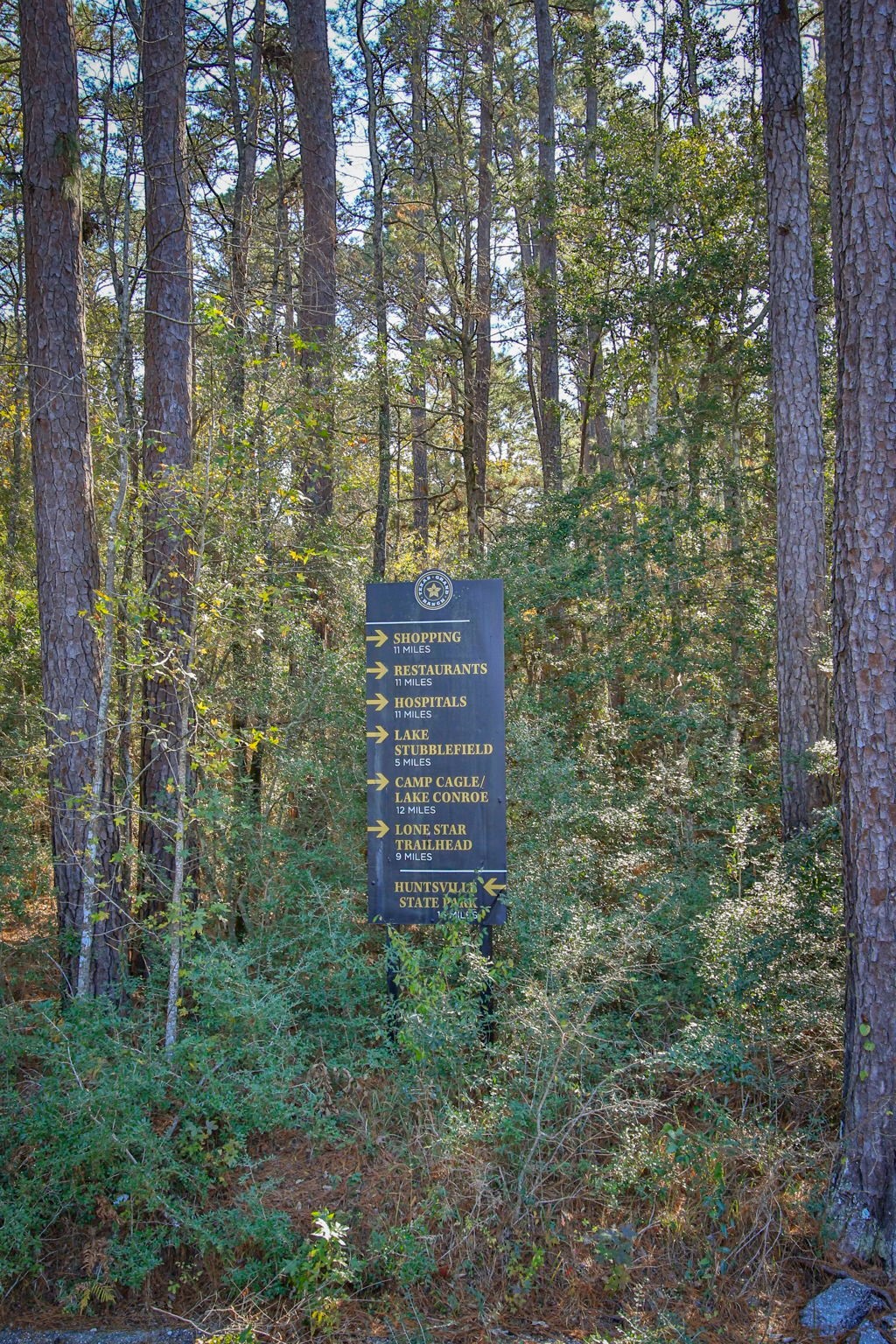 12-22-58 Grey Feather Road Huntsville, TX 77340 - Photo 21 of 21 a view of a forest