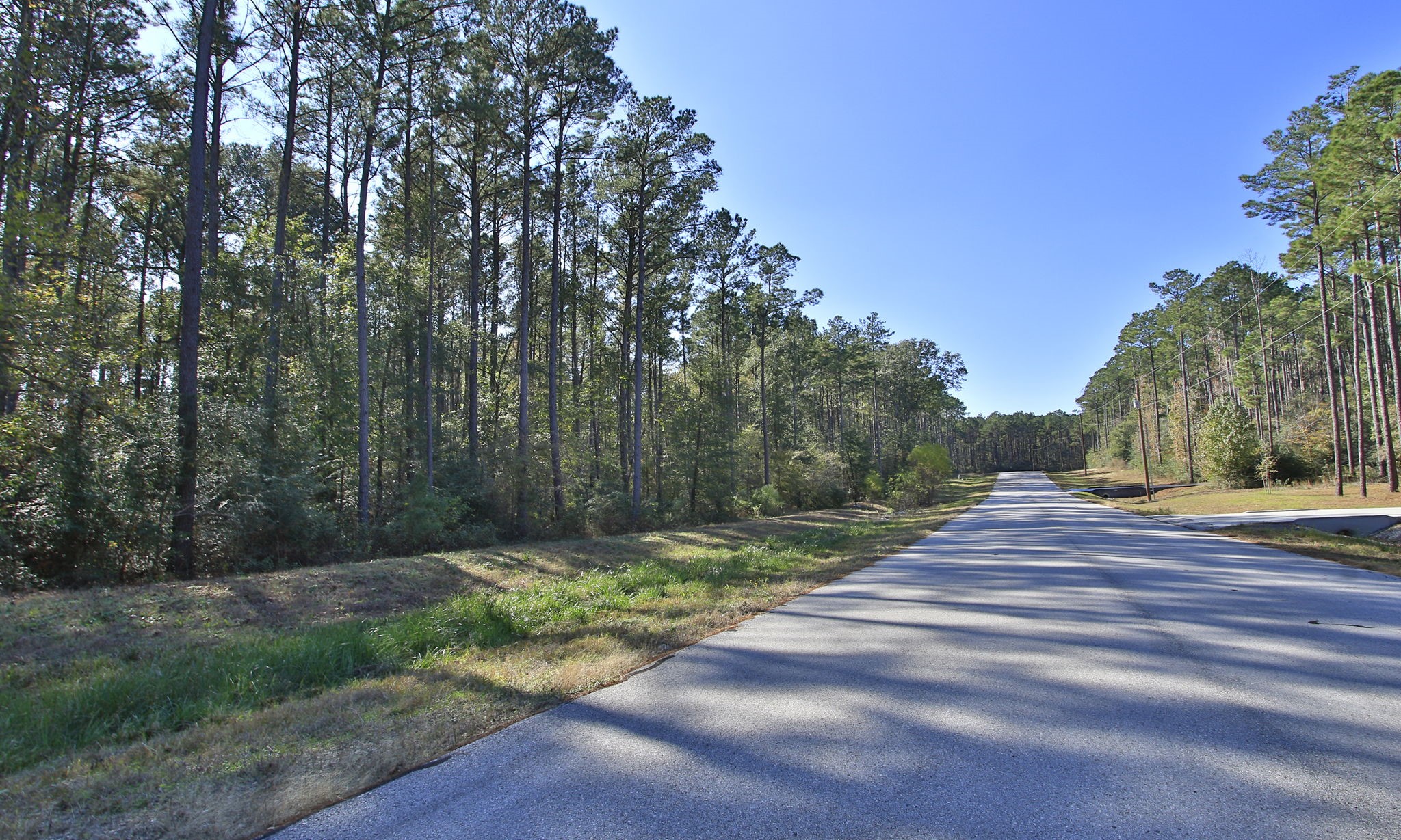 12-22-58 Grey Feather Road Huntsville, TX 77340 - Photo 6 of 21 a view of a backyard