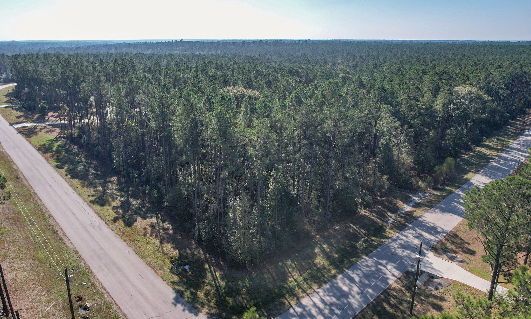 12-22-58 Grey Feather Road Huntsville, TX 77340 - Photo 8 of 21 a view of a yard with a tree