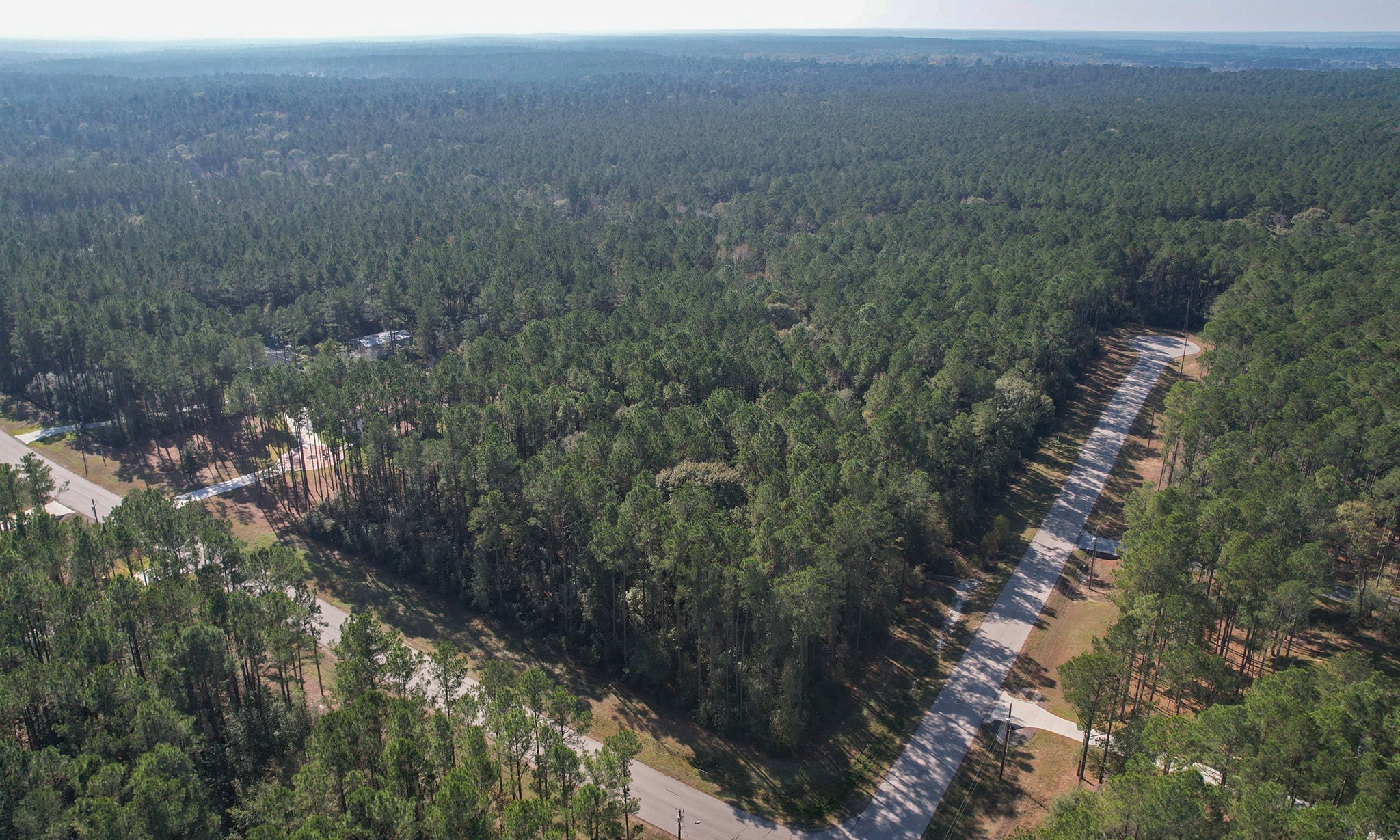 12-22-58 Grey Feather Road Huntsville, TX 77340 - Photo 10 of 21 a view of a forest with a tree
