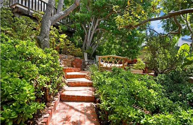 a view of a pathway of a garden