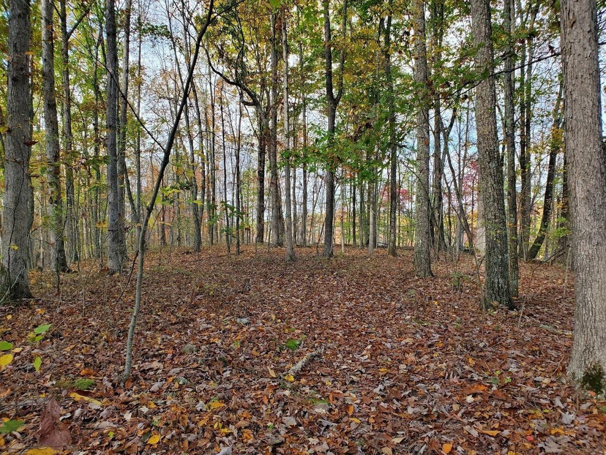 1706 Sturgeon Road Tyner, KY 40486 - Photo 13 of 35 Photo 13