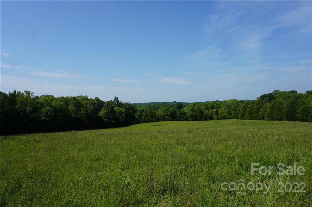 6.5 /- Ac Shillinglaw Road Sharon, SC 29742 - Photo 1 of 17 a view of grassy field with trees