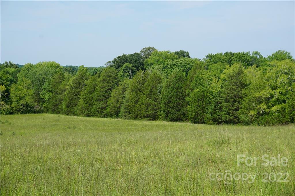 6.5 /- Ac Shillinglaw Road Sharon, SC 29742 - Photo 11 of 17 a view of a field of grass and trees
