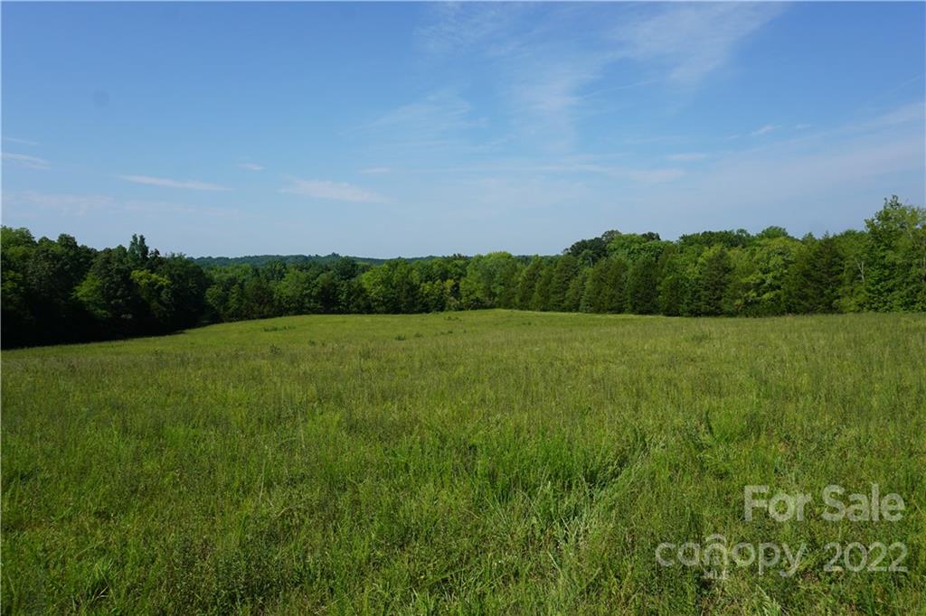 6.5 /- Ac Shillinglaw Road Sharon, SC 29742 - Photo 12 of 17 a view of a grassy field