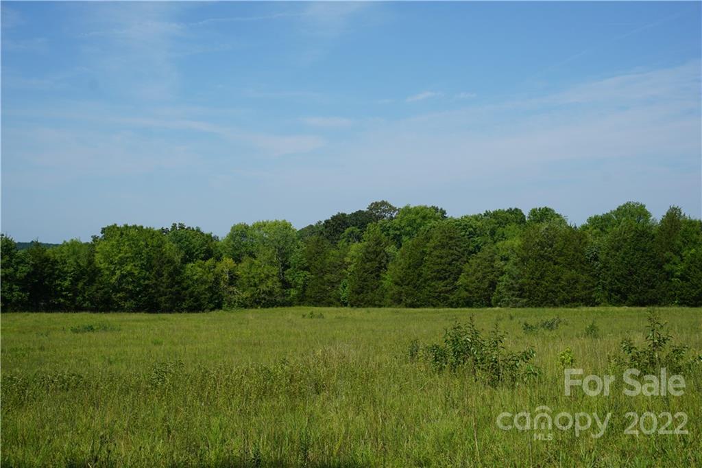 6.5 /- Ac Shillinglaw Road Sharon, SC 29742 - Photo 13 of 17 a view of a grassy field