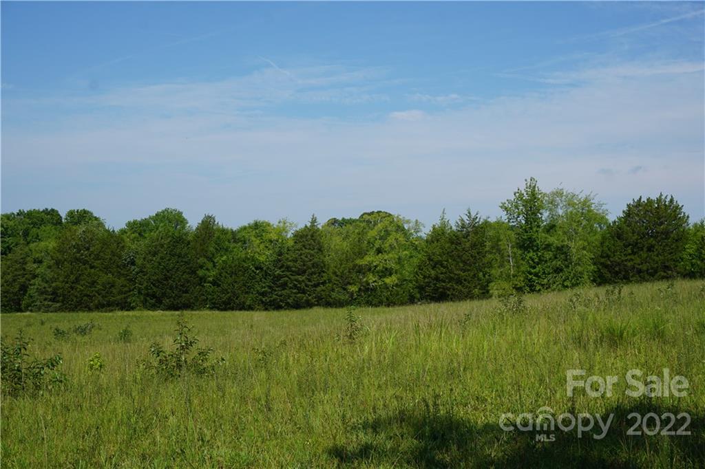 6.5 /- Ac Shillinglaw Road Sharon, SC 29742 - Photo 14 of 17 a view of a field with a tree in background