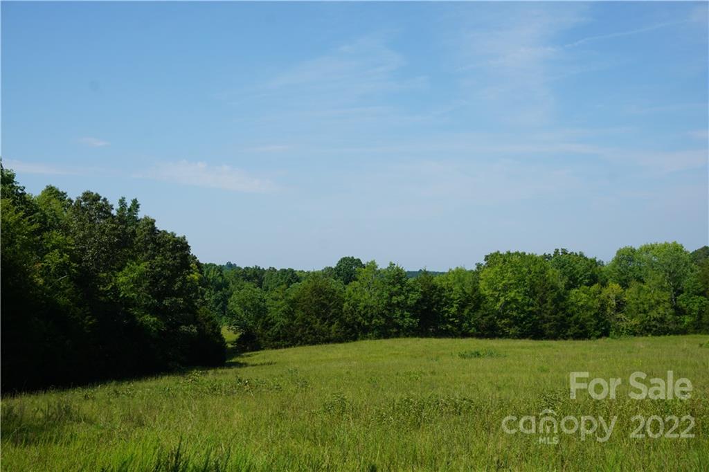 6.5 /- Ac Shillinglaw Road Sharon, SC 29742 - Photo 15 of 17 a view of field with trees in the background