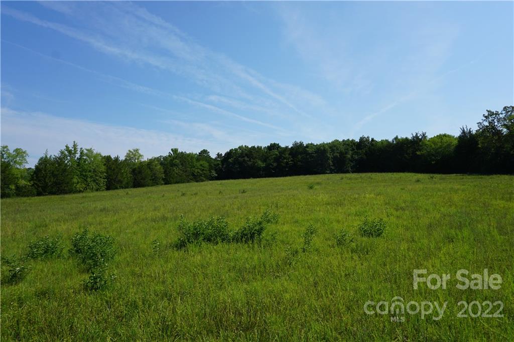 6.5 /- Ac Shillinglaw Road Sharon, SC 29742 - Photo 16 of 17 a view of a field with grass and trees
