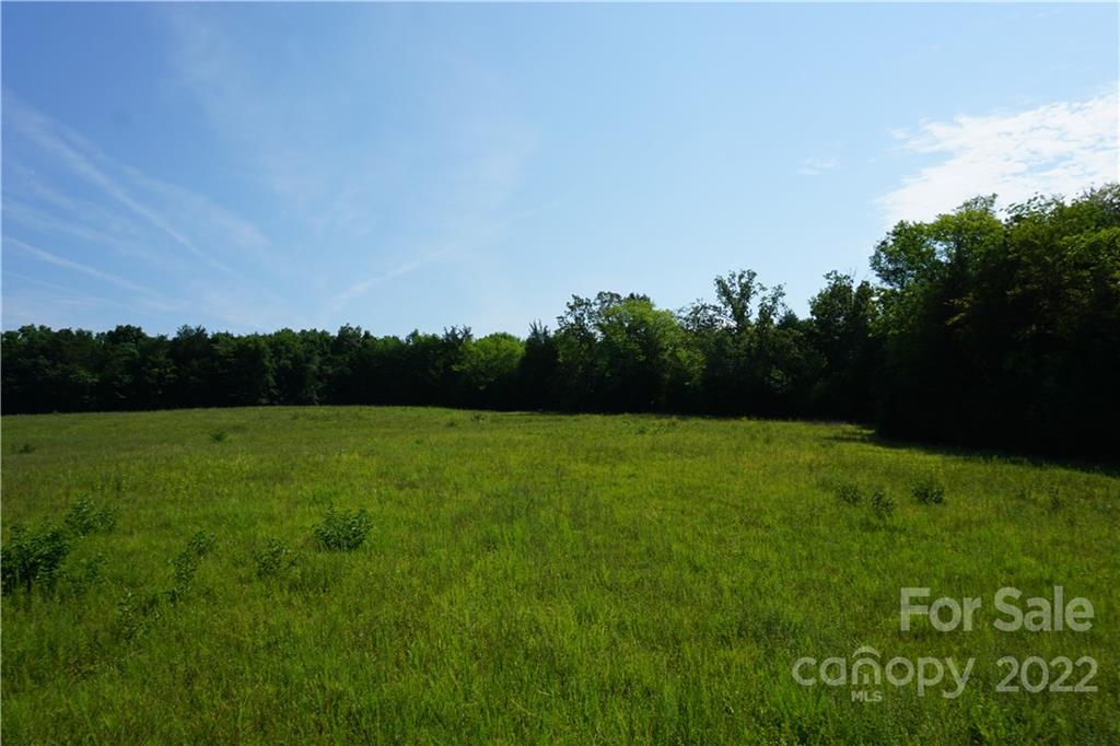 6.5 /- Ac Shillinglaw Road Sharon, SC 29742 - Photo 17 of 17 a view of outdoor space and yard