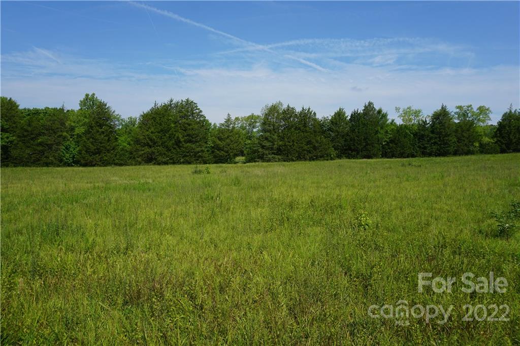 6.5 /- Ac Shillinglaw Road Sharon, SC 29742 - Photo 2 of 17 a view of outdoor space and yard