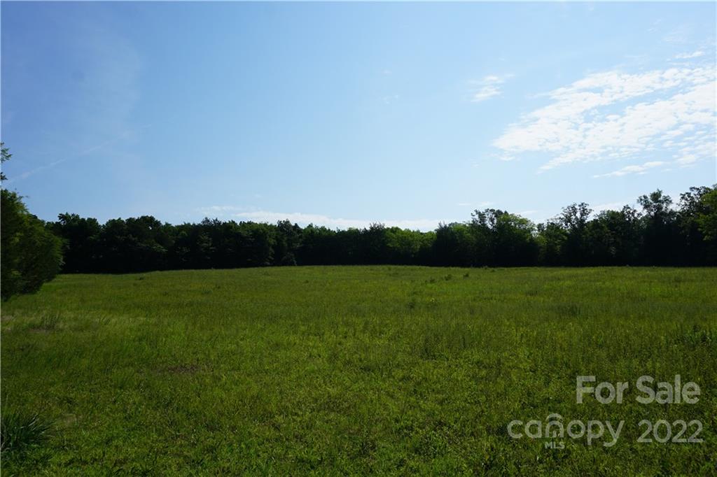 6.5 /- Ac Shillinglaw Road Sharon, SC 29742 - Photo 3 of 17 a view of field with grass