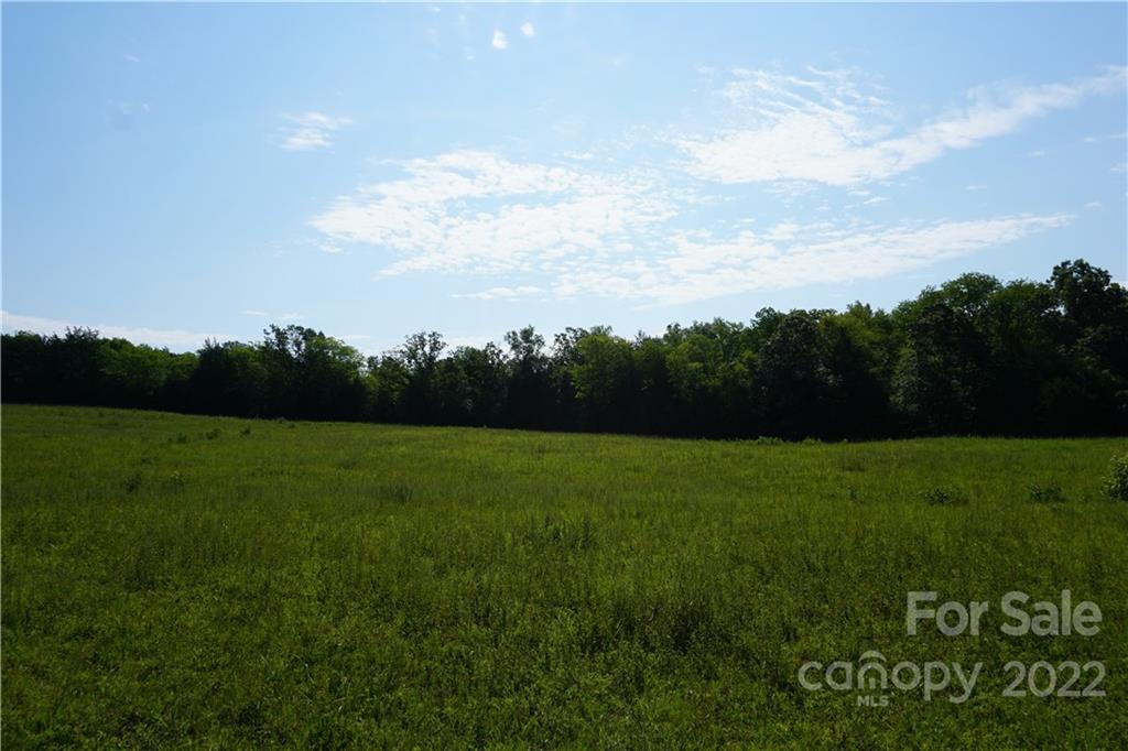 6.5 /- Ac Shillinglaw Road Sharon, SC 29742 - Photo 4 of 17 a view of a field of grass and trees