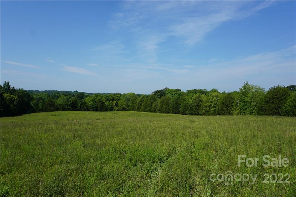 6.5 /- Ac Shillinglaw Road Sharon, SC 29742 - Photo 5 of 17 a view of a big yard with a large tree