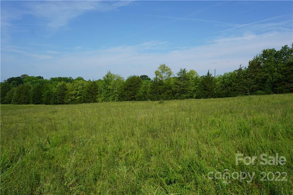 6.5 /- Ac Shillinglaw Road Sharon, SC 29742 - Photo 6 of 17 a view of a field with grass and trees in the back