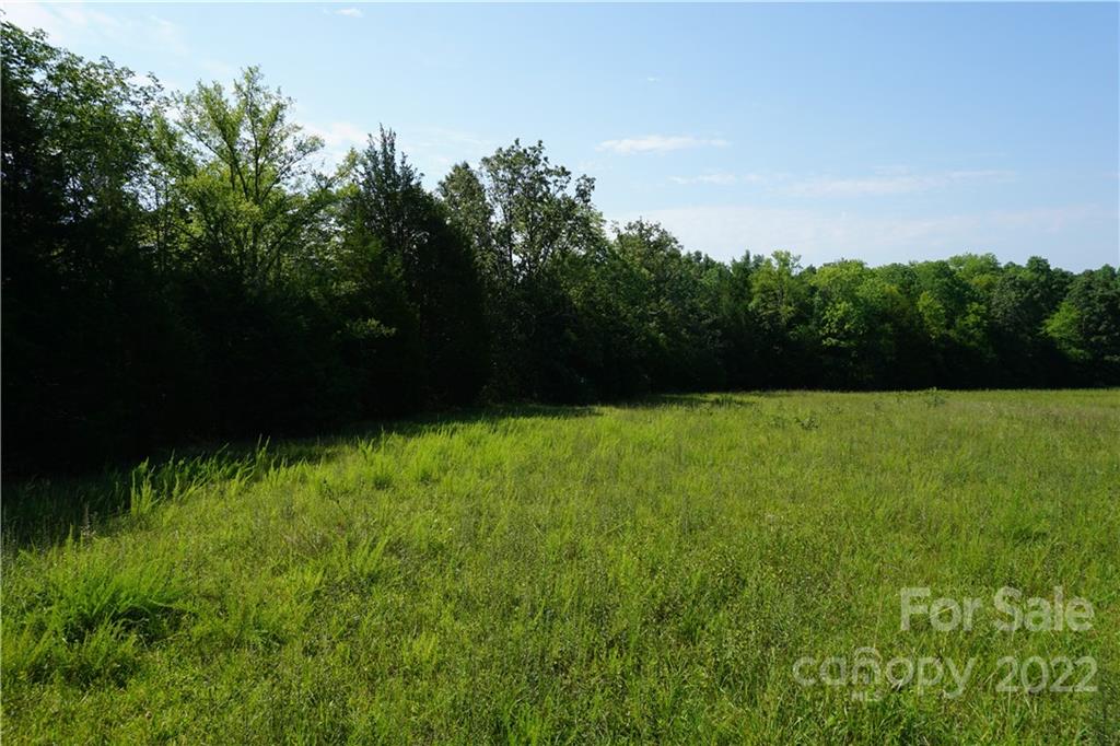 6.5 /- Ac Shillinglaw Road Sharon, SC 29742 - Photo 7 of 17 a view of yard with swimming pool and green space