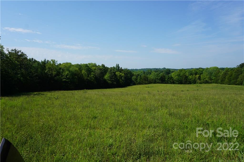 6.5 /- Ac Shillinglaw Road Sharon, SC 29742 - Photo 8 of 17 a view of a garden