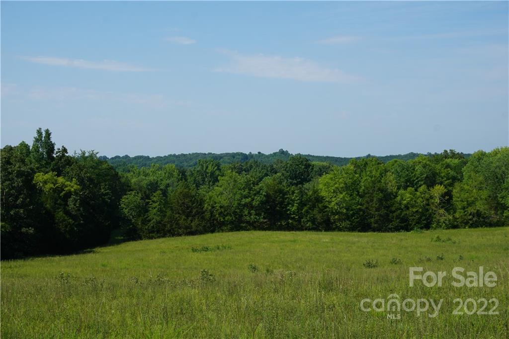 6.5 /- Ac Shillinglaw Road Sharon, SC 29742 - Photo 9 of 17 a view of a field with an trees