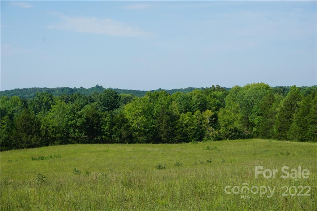 6.5 /- Ac Shillinglaw Road Sharon, SC 29742 - Photo 10 of 17 a view of a grassy field