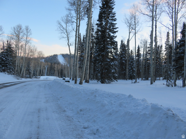 6 Tushar Mountain Estates, Unit 6 Beaver, UT 84713 - Photo 10 of 16 Snow-covered mountain setting with a paved road and natural tree coverage