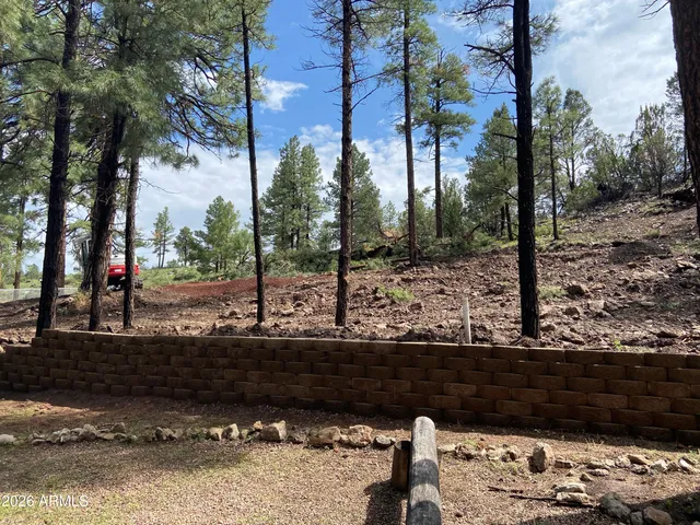 $79,990 | 2820 Pine Hill Drive, Unit 20, Overgaard, AZ 85933