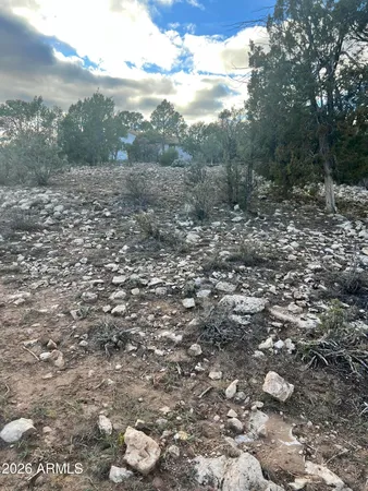 $79,990 | 2820 Pine Hill Drive, Unit 20, Overgaard, AZ 85933