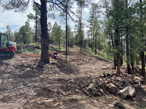 $79,990 | 2820 Pine Hill Drive, Unit 20, Overgaard, AZ 85933