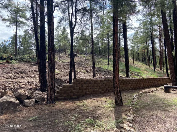 $79,990 | 2820 Pine Hill Drive, Unit 20, Overgaard, AZ 85933