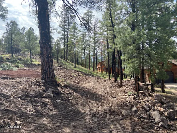 $79,990 | 2820 Pine Hill Drive, Unit 20, Overgaard, AZ 85933