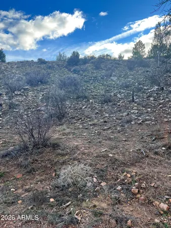 $79,990 | 2820 Pine Hill Drive, Unit 20, Overgaard, AZ 85933