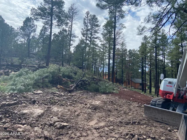 $79,990 | 2820 Pine Hill Drive, Unit 20, Overgaard, AZ 85933