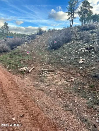 $79,990 | 2820 Pine Hill Drive, Unit 20, Overgaard, AZ 85933