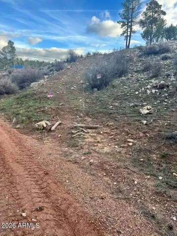 $79,990 | 2820 Pine Hill Drive, Unit 20, Overgaard, AZ 85933