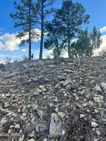 $79,990 | 2820 Pine Hill Drive, Unit 20, Overgaard, AZ 85933