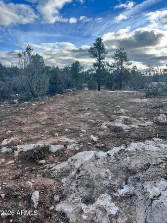 $79,990 | 2820 Pine Hill Drive, Unit 20, Overgaard, AZ 85933