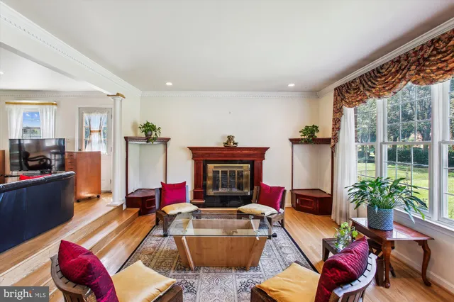 a living room with furniture fireplace and potted plants