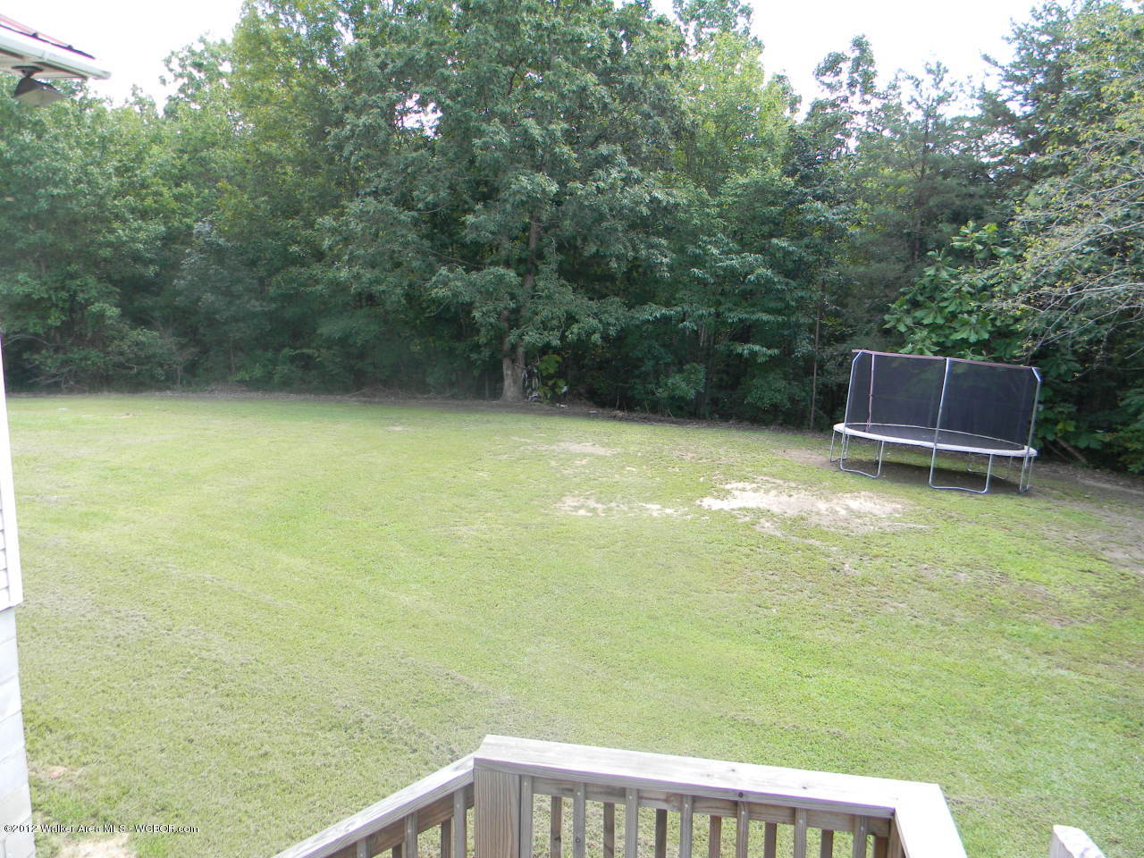 45 Dare Road Phil Campbell, AL 35581 - Photo 3 of 10 Gallery Image 3
